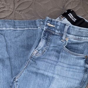 Torrid Flare Blue Jeans